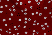 Mini Red Flower Weekend & Diaper Bag